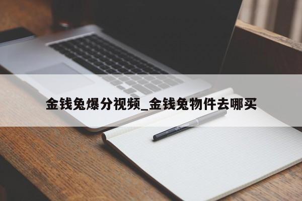 金钱兔爆分视频_金钱兔物件去哪买