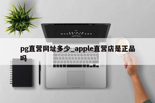 pg直营网址多少_apple直营店是正品吗