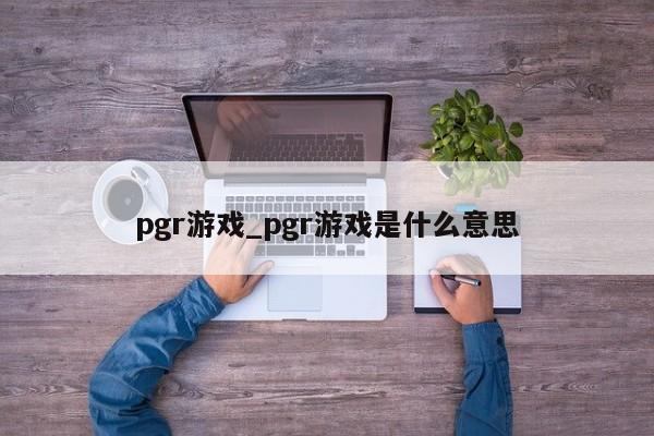 pgr游戏_pgr游戏是什么意思